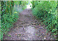 Bridleway to Sparsholt in SO22 5QT