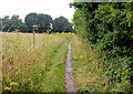 Bridleway to Sparsholt in SO21 2LP