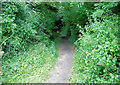 Bridleway to Heath's Copse in SO21 2LP