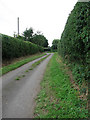 Fritton Lane past Lower Farm in NR29 5PT