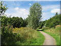 Footpath, Clincton Wood Local Nature Reserve in WA8 8AY