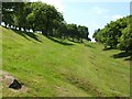 Antonine Wall at Seabegs Wood in Dennyloanhead