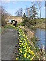 Union Canal, Bridge 42 in EH49 7SU