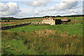 A ruined building at Caulside. in DG14 0RT