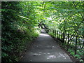 Riverside Path in Linn Park in G44 5TP