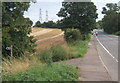 Old Norwich Road near the start of the track to Akenham in IP1 6FX
