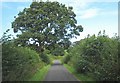 Country road north of Gyfynys Farm in LL58 8PP