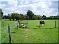 Step stile on the Monarch's Way in PO8 9DJ