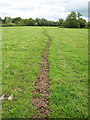 Footpath towards Harts Farm in GL19 3JF