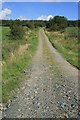A track at Caulside in DG14 0RT