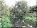 River Colne near Watford in WD25 9DB