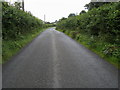 Lane heading up to Gerddi-gwynion in Llanfair-ar-y-Bryn Community