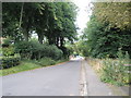 Looking back down Winchester Road to Chawton in GU34 1RF