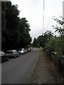 Looking up towards the A31 at Chawton in GU34 1RF