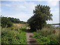 Path beside Wansbeck Estuary in NE63 0XL