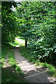 Stepped Path in Firth Park in S4 8GZ
