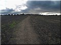 Footpath up the 'fields' in S72 0HR