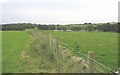 Path across the field at Bryn Bella Farm with Llyn Bogylched in the background in LL58 8TH