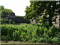 King's Bastion and nettles in TD15 1RE