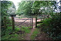 Gate at the junction of 2 paths near Romney Street in TN15 6XR