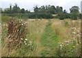 Footpath between Shotley and Shotley Hall in Ganges Ward