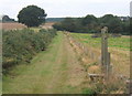 Footpath at a footpath crossroads in IP9 1EL