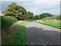 Kirkby Road towards Kirkby Mallory in LE9 8JH