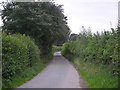 Looking back up a lonely lane in SY21 8AR