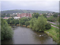 The River Severn from the footbridge in SY16 1YY