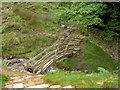 Footbridge over Golden Clough in S33 7ZG