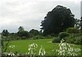 Gardens - Lackham House in SN15 2NZ