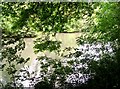 Pond - near Wiltshire College, Lackham in SN15 2PF