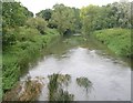 River Avon at Reybridge in SN15 2JY
