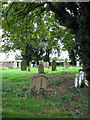 St Mary's church - churchyard in NR21 9JE