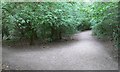 Path through Burbage Wood in LE10 1FF