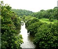 River Avon from Avoncliff Aqueduct in BA15 2LP