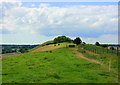 2008 : Long view of Long Knoll in BA12 7HT