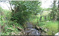 Afon Braint above the Rhoscefnhir bridge in LL75 8YR