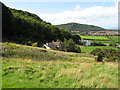 Houses beneath Coed Abergele in Abergele Community