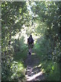 The Thames Path near Shillingford in OX10 7ET