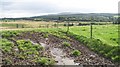 Muddy field, Strathallan in FK15 0BU