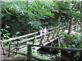 Footbridge crossing the Grinds Brook in S33 7ZG