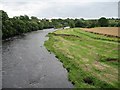 Downstream from Gainford Railway Bridge in DL2 3DN