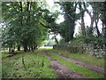 Farm track at Plas Llandegfan in Cwm Cadnant Community