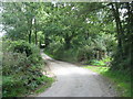 Bends in the road near Pant Howel in LL59 5SB