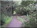 Footpath down to Cycleway 2 from Castle Lane in EX9 6AJ