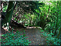 Footpath in Lutcombe Bottom in GU32 1DX