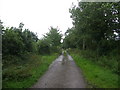 Lane near Scaleby Moss in CA6 6DG