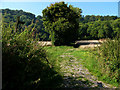 Footpath up Ashford Hill in GU32 1DX