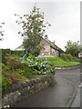 Hydrangea and Rowan, Old Doune Road in FK15 9BB